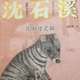 动物小档案