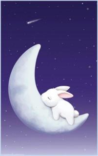 晚安睡前故事《月亮上的小白兔🐰》