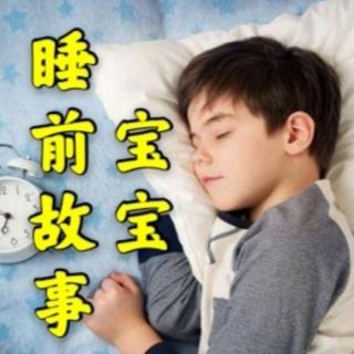 《为什么大脑能记住那么多东西》宝宝睡前故事