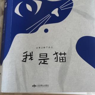 我是猫