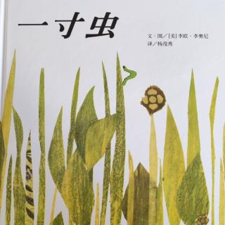 李欧李奥尼系列之《一寸虫》