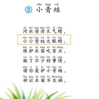 【部编版一年级下】识字3《小青蛙》