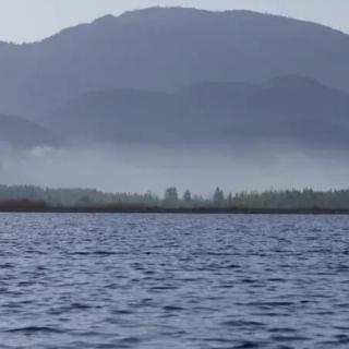 面朝大海，春暖花开