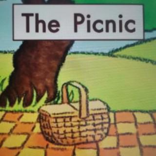 The Picnic