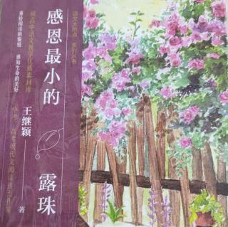 《寒天记暖》节选——作者 王继颖