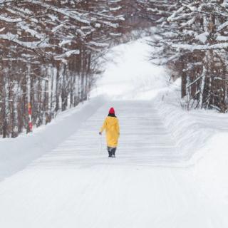 雪的巡防