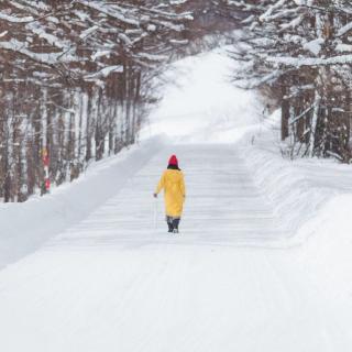 雪的巡防