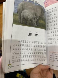 少儿百科全书－－犀牛