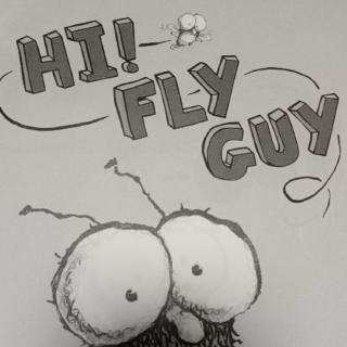 Hi fly guy