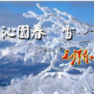 《沁园春·雪》