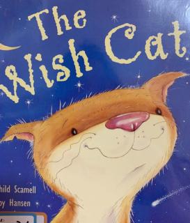 The wish cat