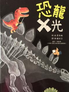 陪平安讲故事1904《恐龙🦕X光》