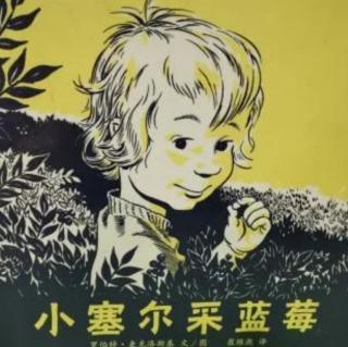 《小塞尔采蓝莓》绘本