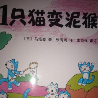 11只猫变泥猴