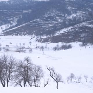 《北国的雪》作者碑林路人  诵读洲闻