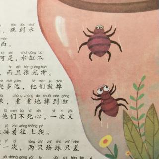 心灵成长读本――🕷️《多试几次》🕷️