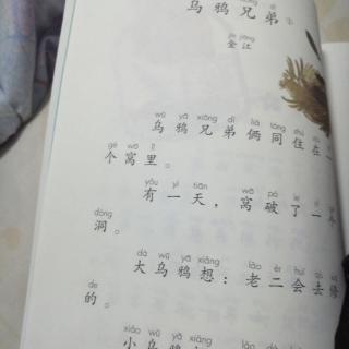 乌鸦兄弟