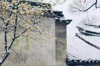 《落雪》之一入梦