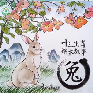 十二生肖绘本故事——兔