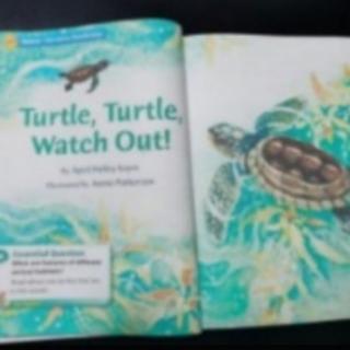 1.25 Turtle,Turtle,Watch Out!