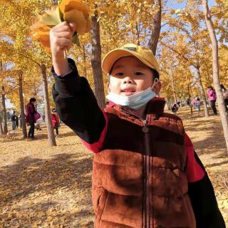 孟祥灿   学习小花鸭