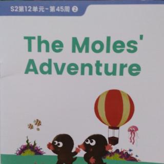 英语阅读～the   moles'    adventure