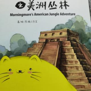 猫柠猫奇遇记之美洲丛林