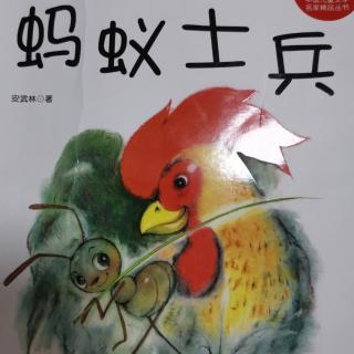 书本里的熊爸爸