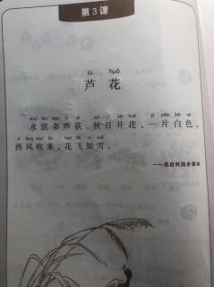 小古文《芦花》