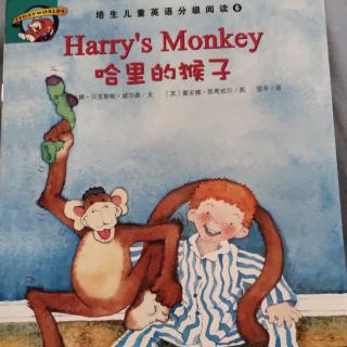 英语绘本哈利的猴子