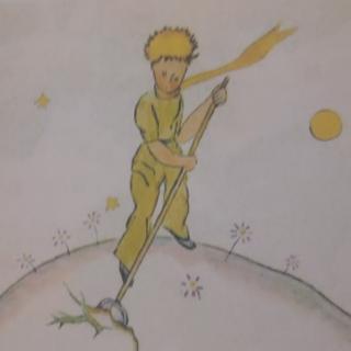 The Little Prince 16