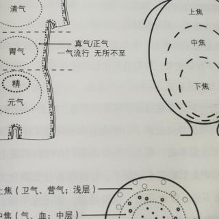 《第四章三焦：人体能量构成》