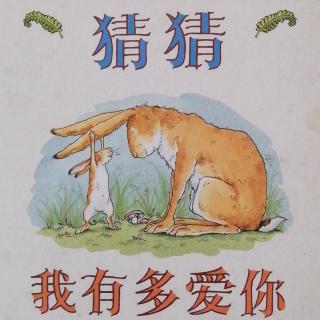 《猜猜我有多爱你》