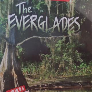 The Everglades