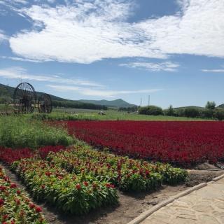 岳飞小重山