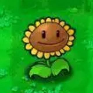 植物大战僵尸之植物诞生记（新版本）第二集向日葵的诞生