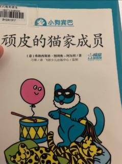 顽皮的猫家成员