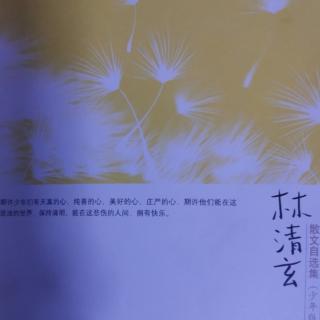 《林清玄散文自选集少年版》23.刺花