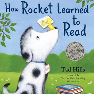 2021.01.28-How Rocket Learned to Read