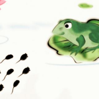 小青蛙找家