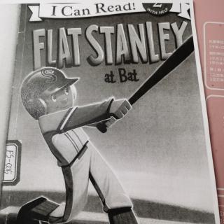 Flat Stanley at Bat