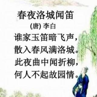 27 春夜洛城闻笛（唐•李白）