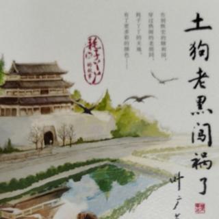 《土狗老黑闯祸了》（19）