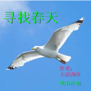 《寻找春天》作者：大浪淘沙