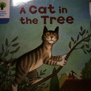 A Cat in the Tree 3-10