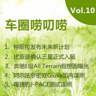 车圈唠叨唠10：特斯拉新车计划/三星入股比亚迪