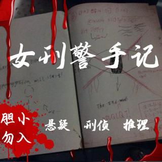 【女刑警手记】可笑的窃贼（七）