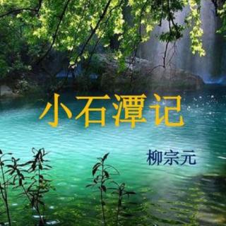 八下语文10.小石潭记/柳宗元