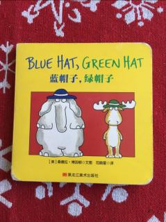 Blue Hat Green Hat