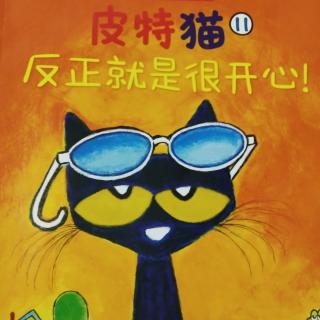 绘本：皮特猫11《反正就是很开心》